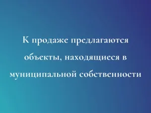 К продаже предлагаются объекты, находящиеся в муниципальной собственности Вознесенского муниципального округа